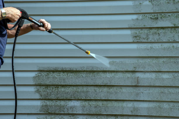 Why Choose Our Certified Pressure Washing Experts for Your Project Needs in Port Royal, SC?